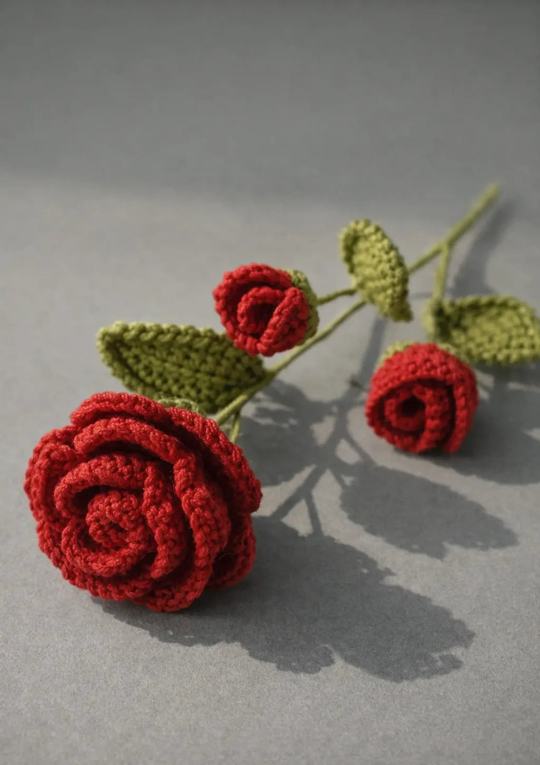 Red Rose Flower